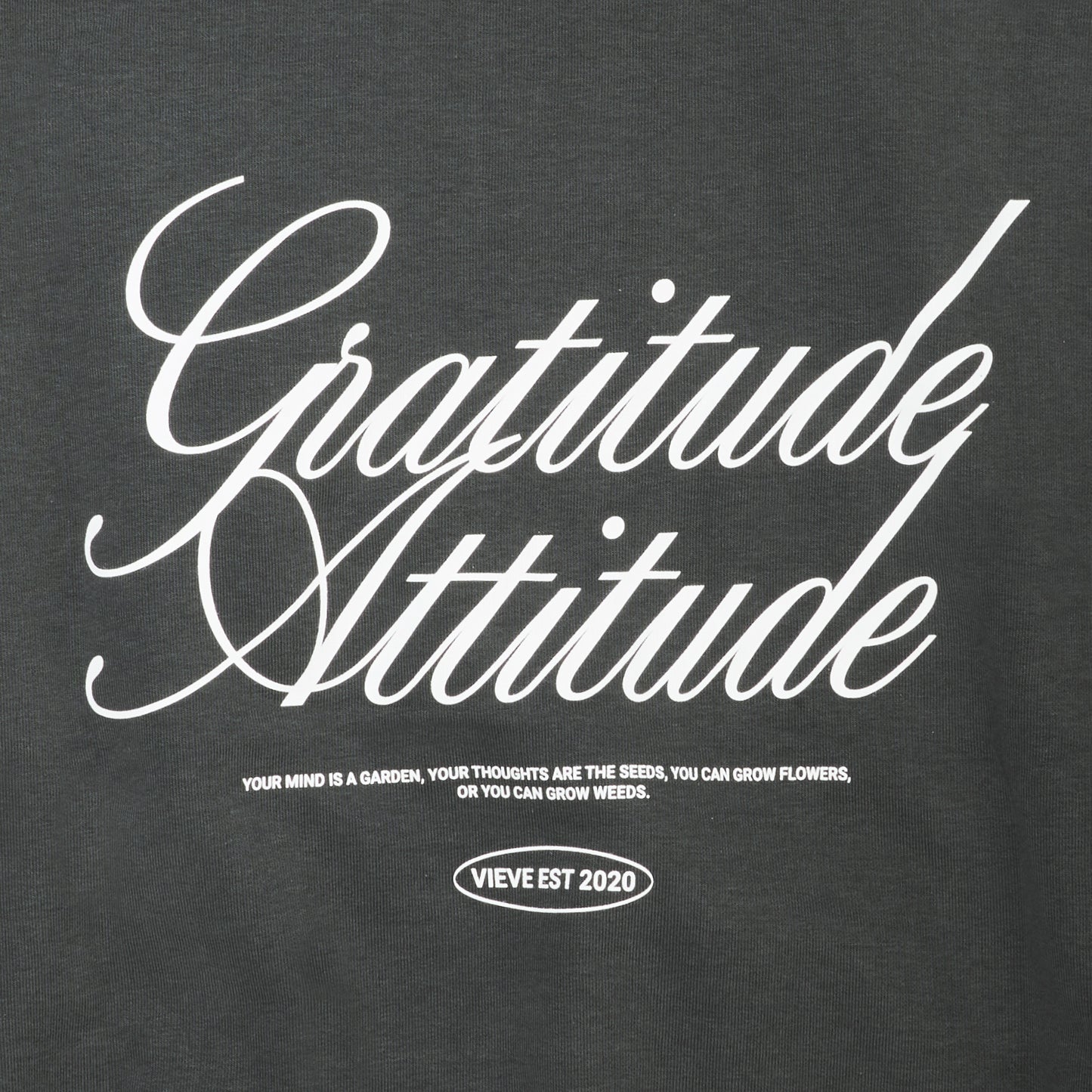 VIEVE Gratitude Attitude Hoodie